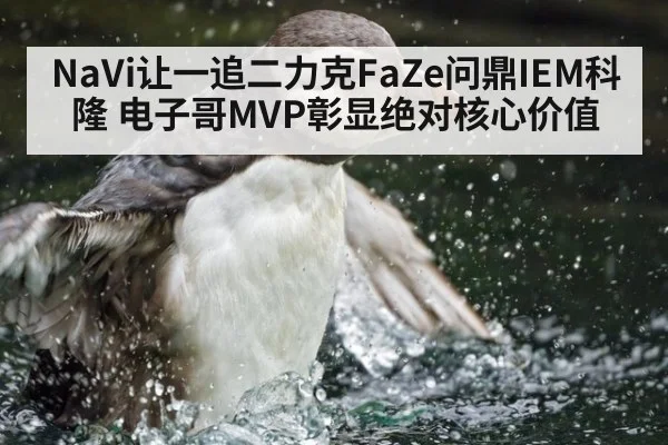 NaVi让一追二力克FaZe问鼎IEM科隆 电子哥MVP彰显绝对核心价值